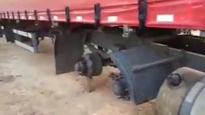 Looks like someone stole all wheels from the truck (Video)