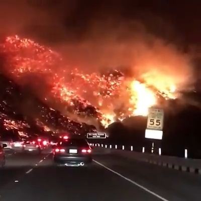 Massive territories on fire (Video)