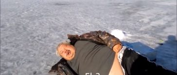 Norht polar vodka seal