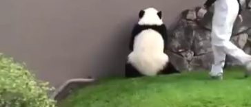 Just like my drunk friend